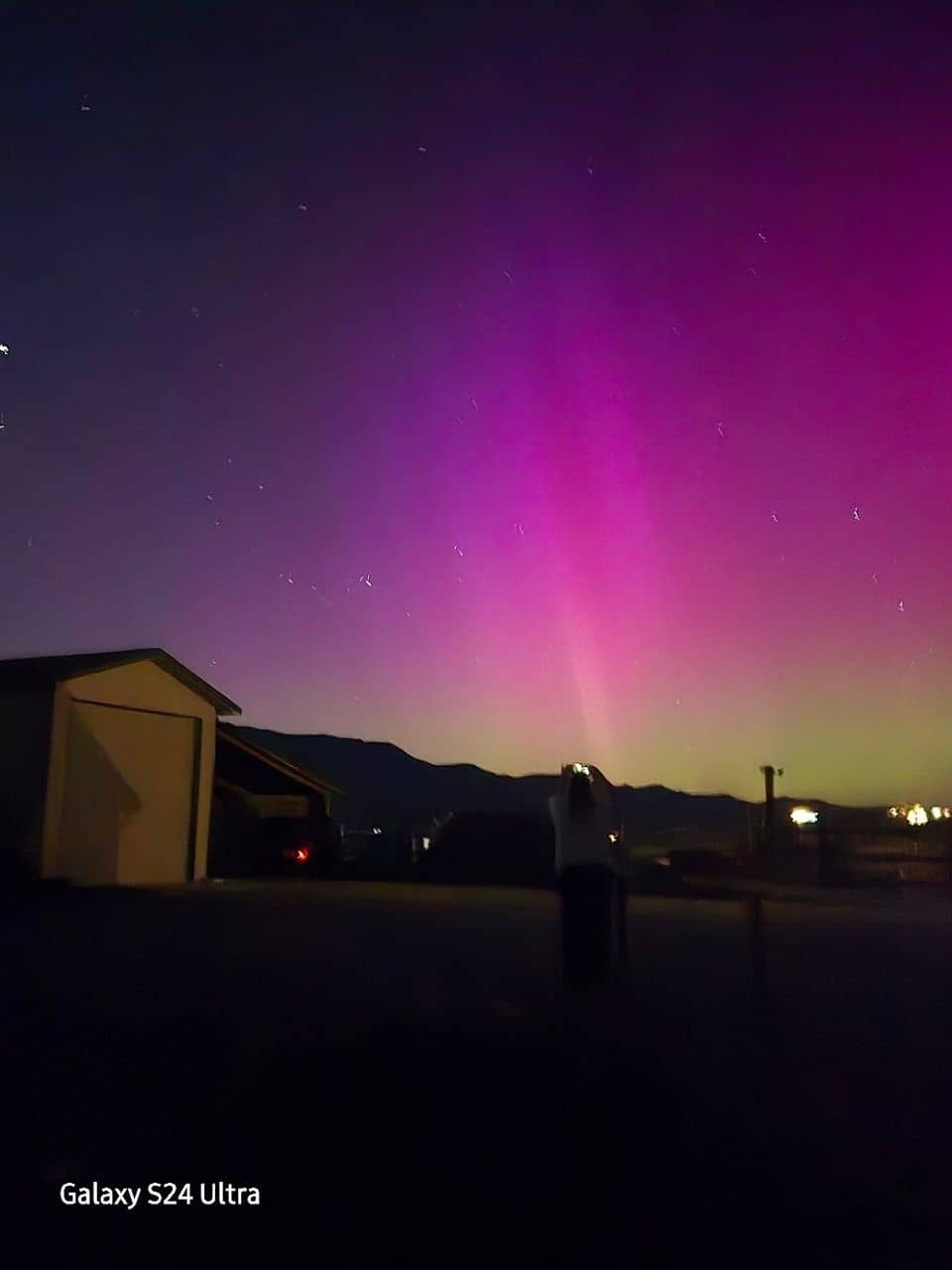 Spectacular Seafood Molcajete