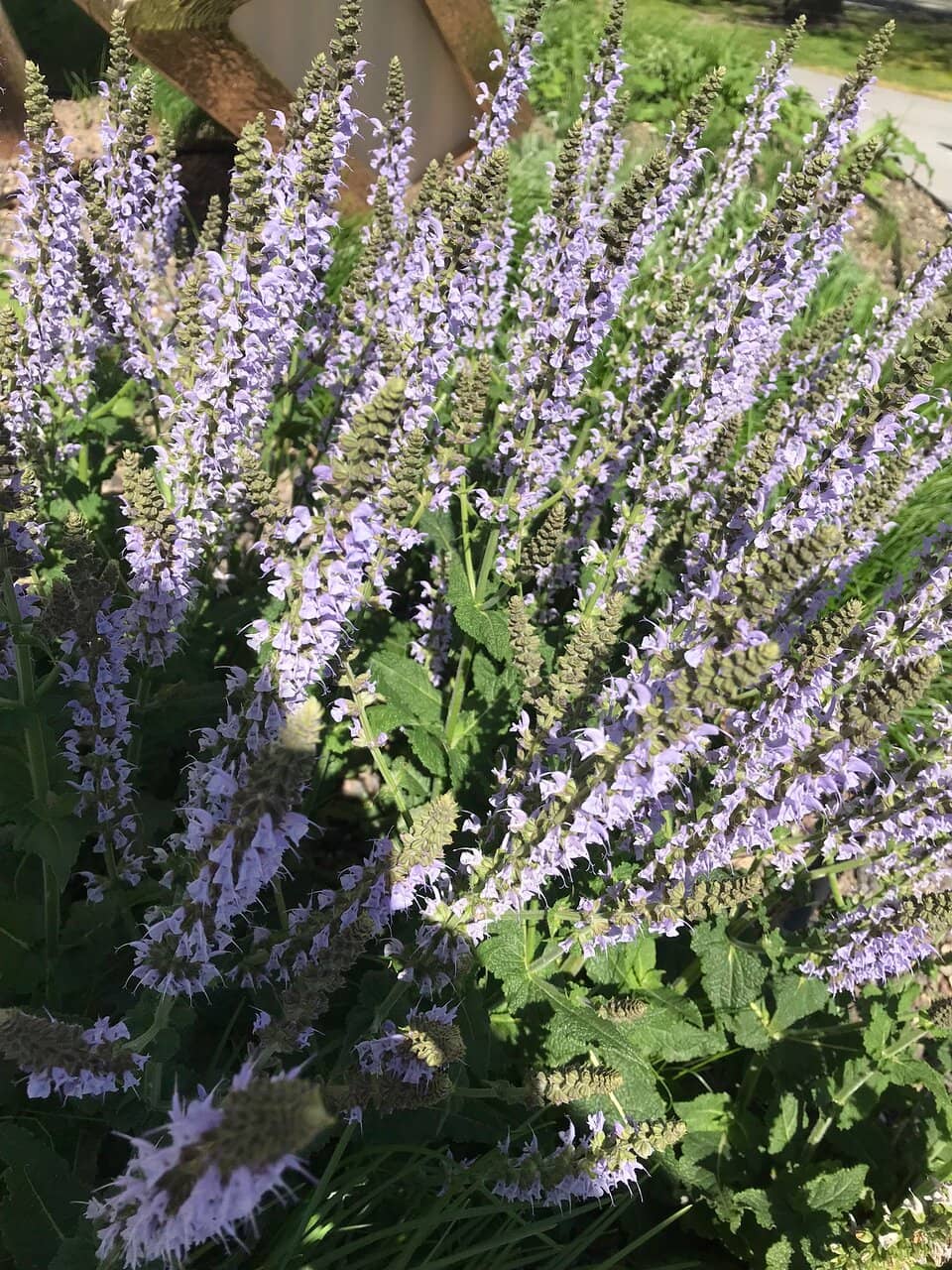 Westergas Culture Park