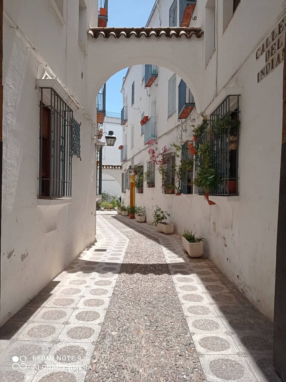Vertical photo