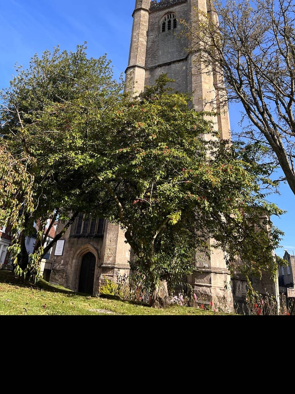 Vertical photo