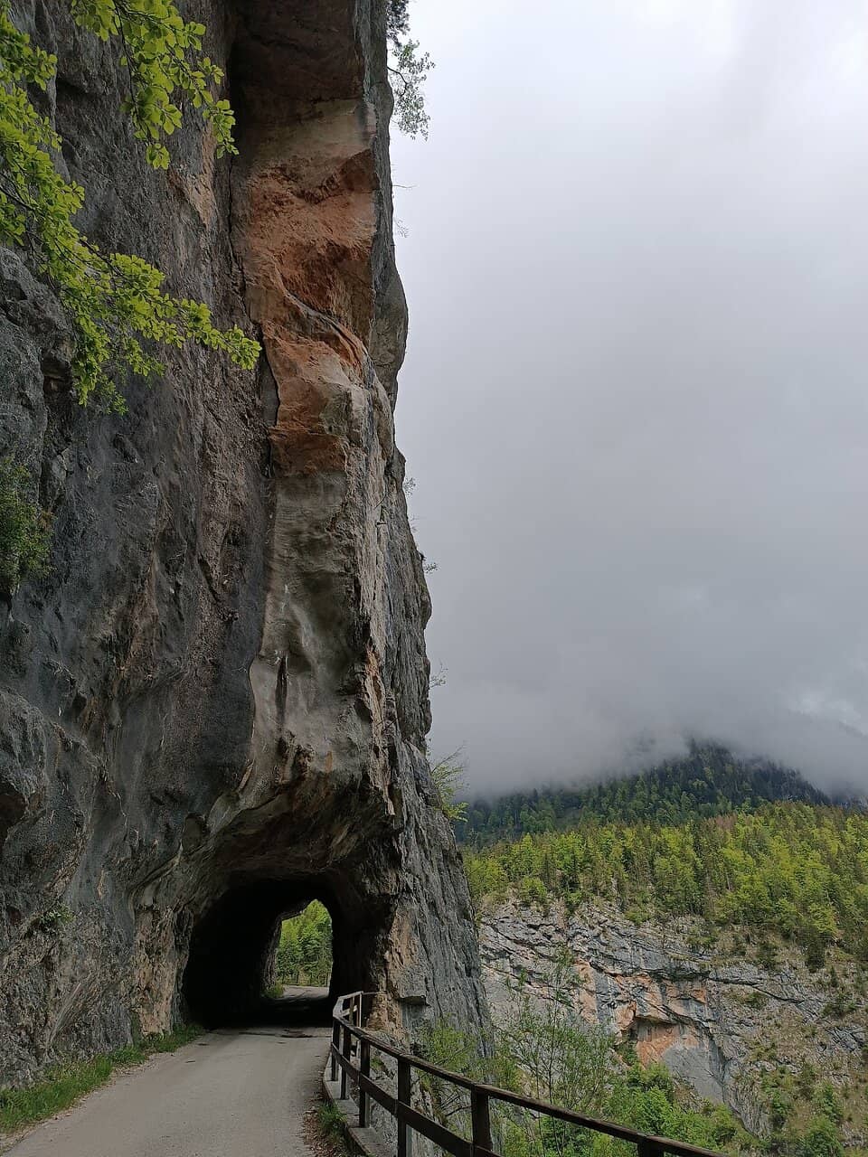 Scenic Vantages