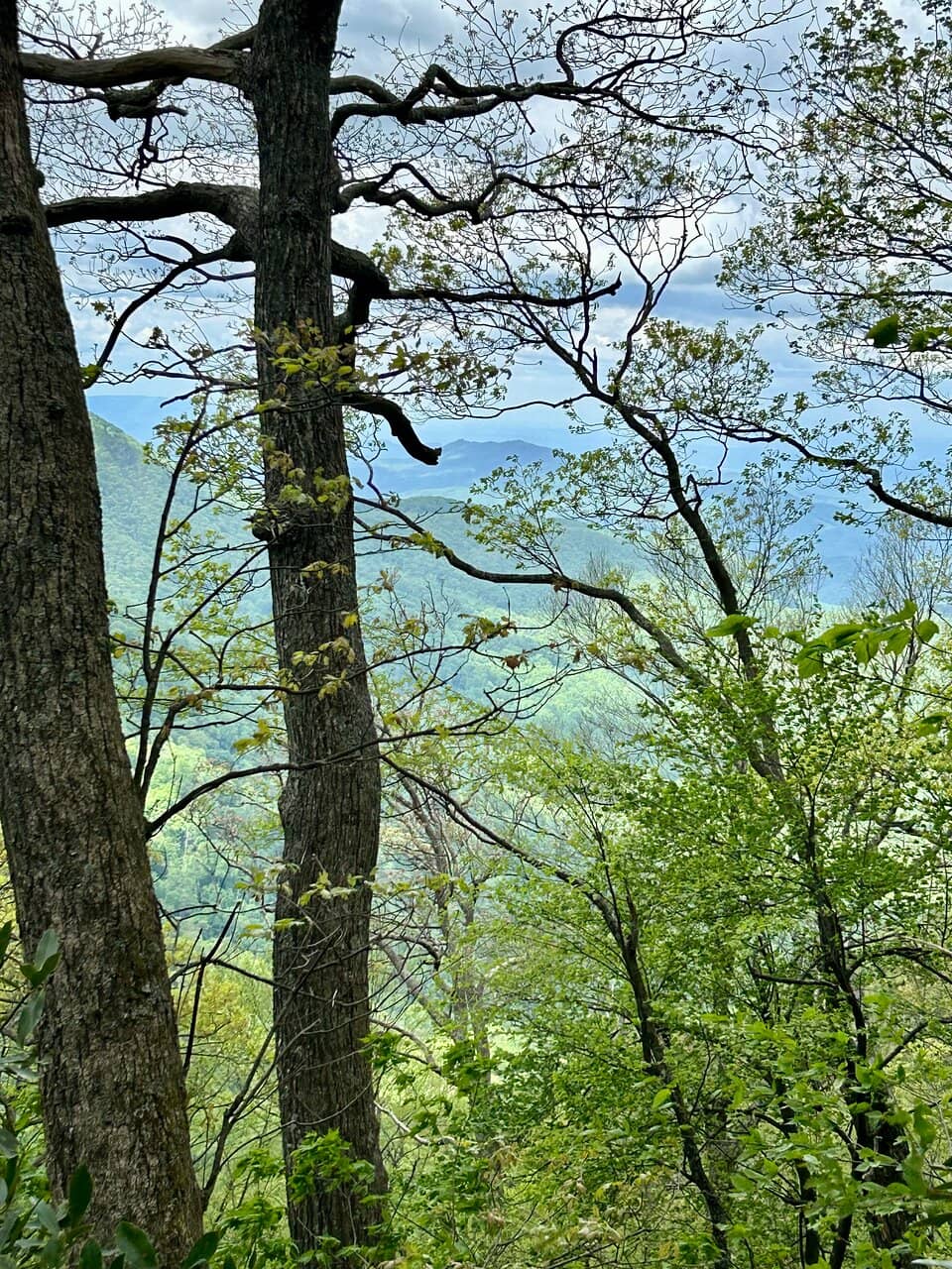 Historic Lookout
