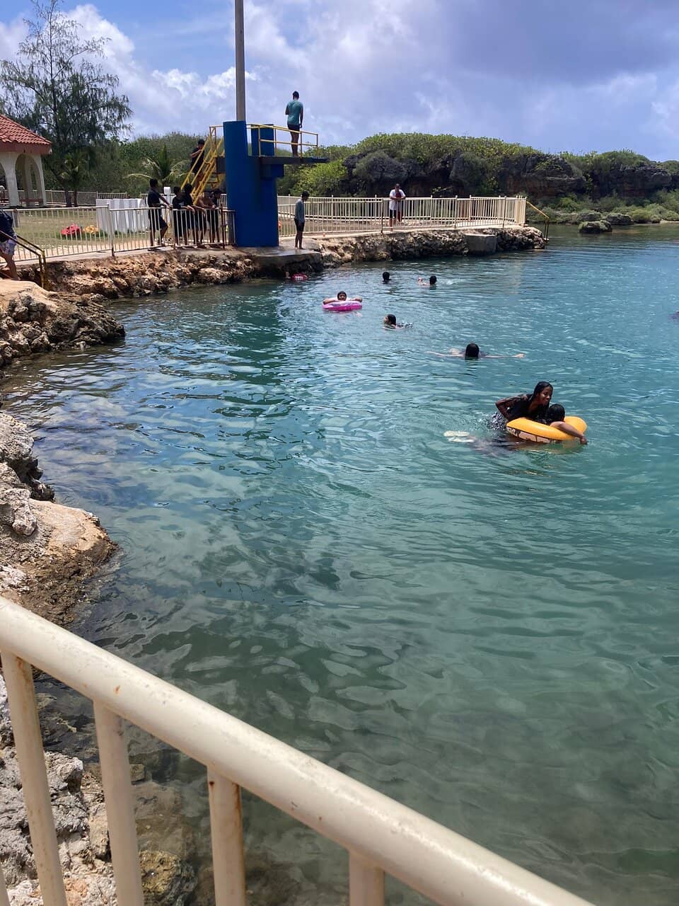 Abundant Marine Life