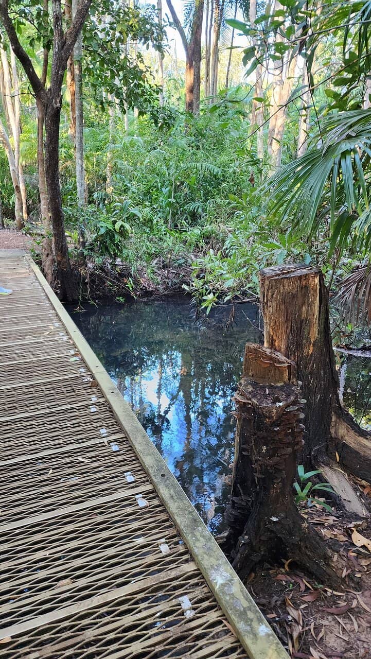 Tranquil Nature Walks