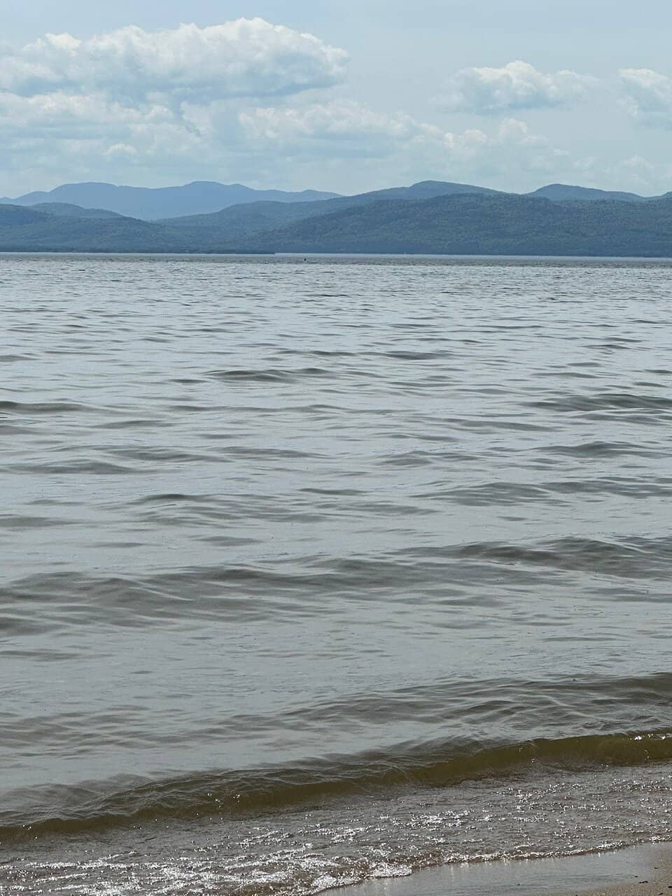 Leddy Beach
