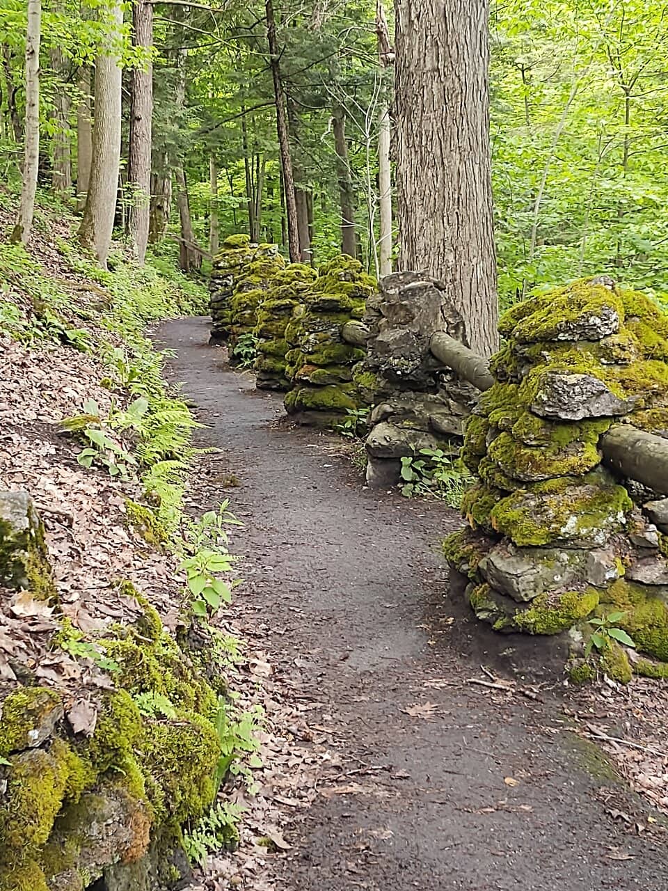Enchanted Trail