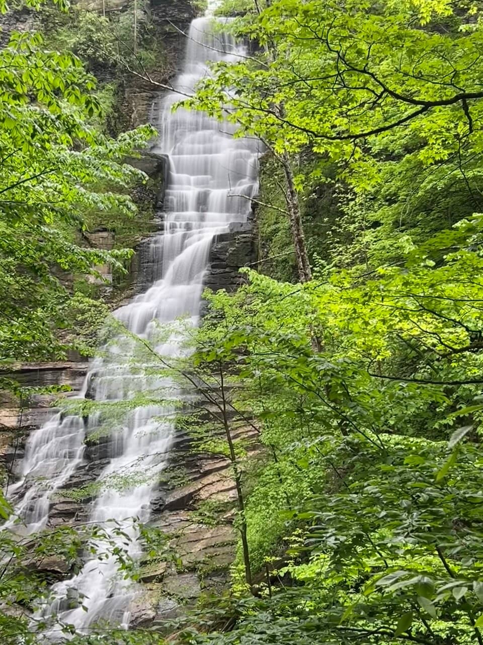 Scenic Gorge Trails