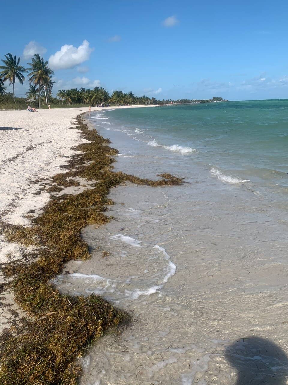 Water Sports Rentals