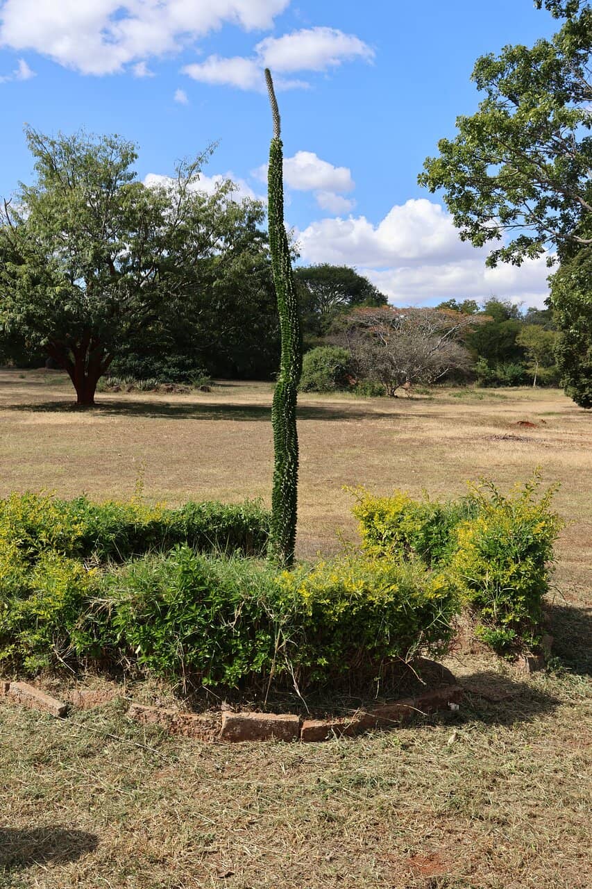 Herbarium Research Center