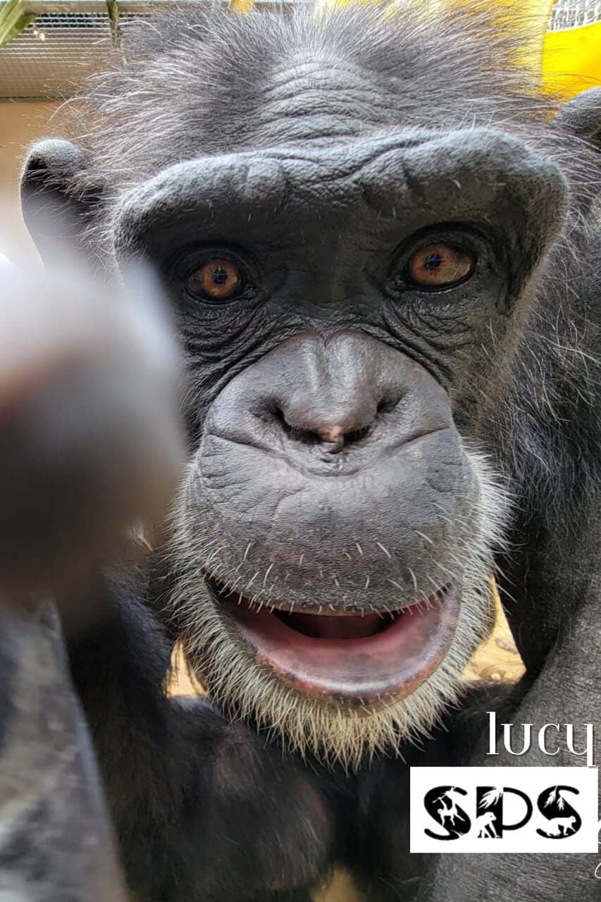 Exotic Animal Encounters