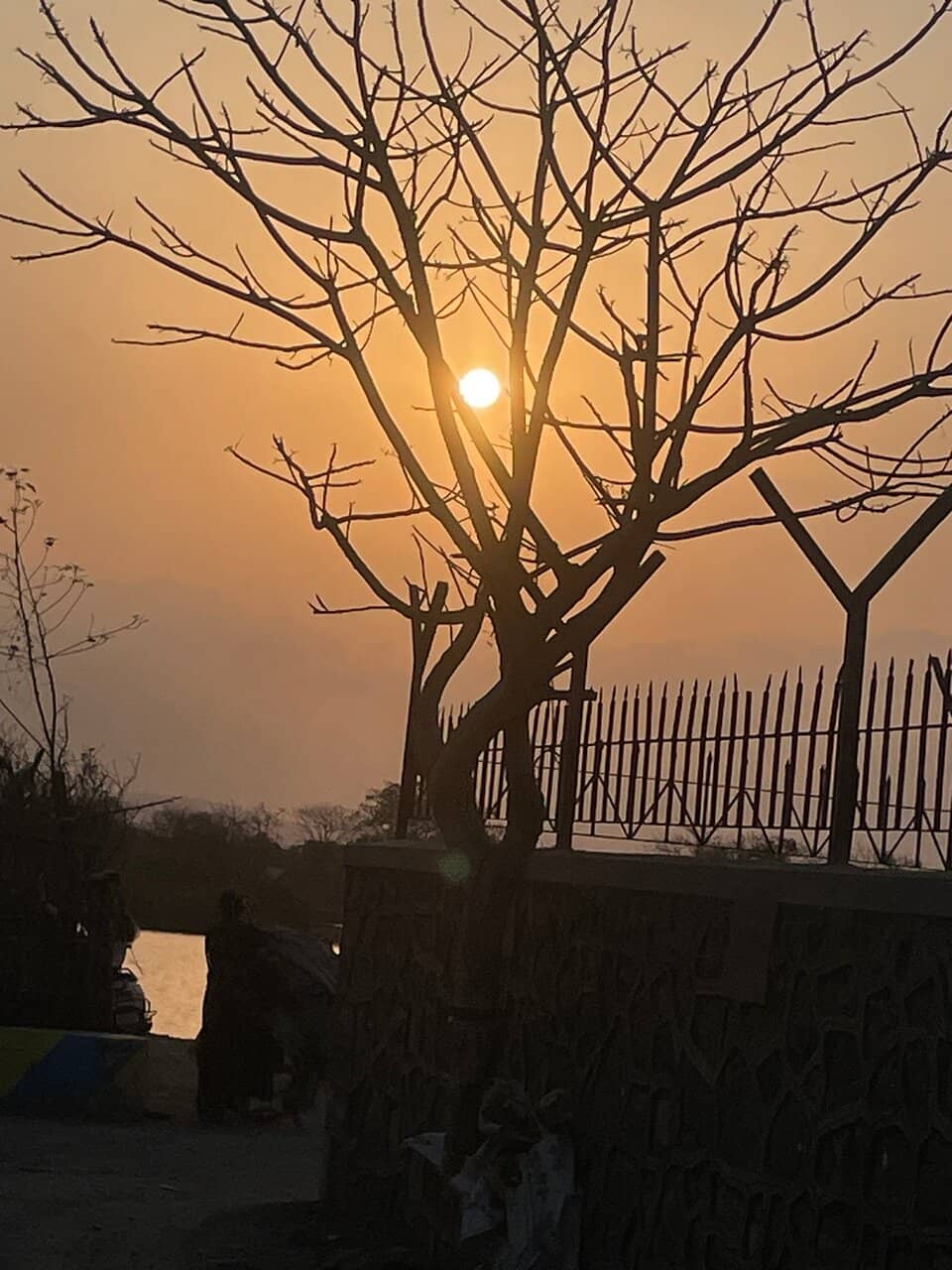 Watch Towers and Viewing Machans