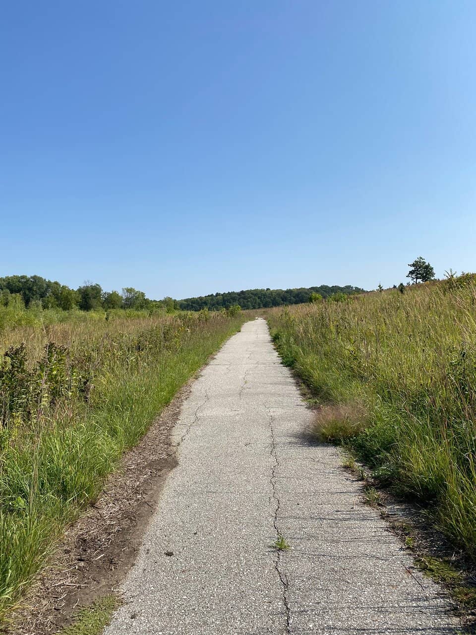 Restored Tallgrass Prairie