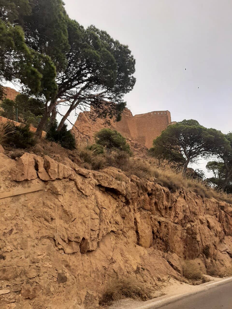 Vertical photo