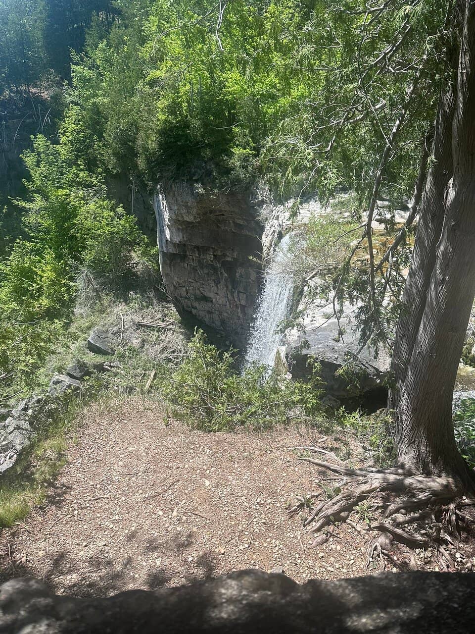 Hogg's Falls