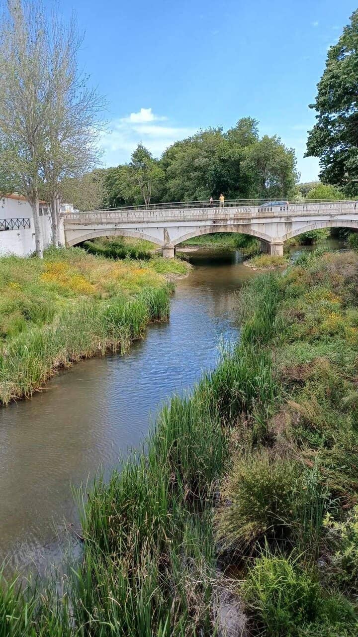 Pedestrian Bridge Views