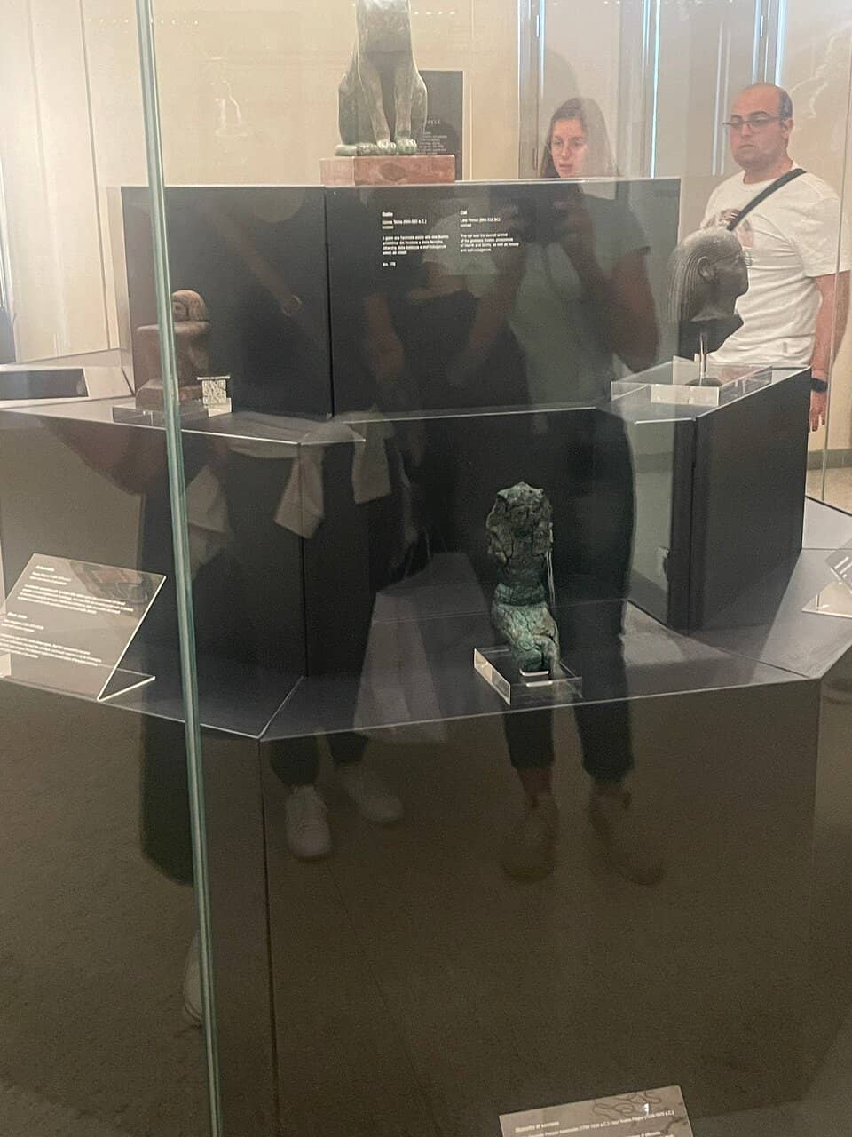 Remarkable Collection Display