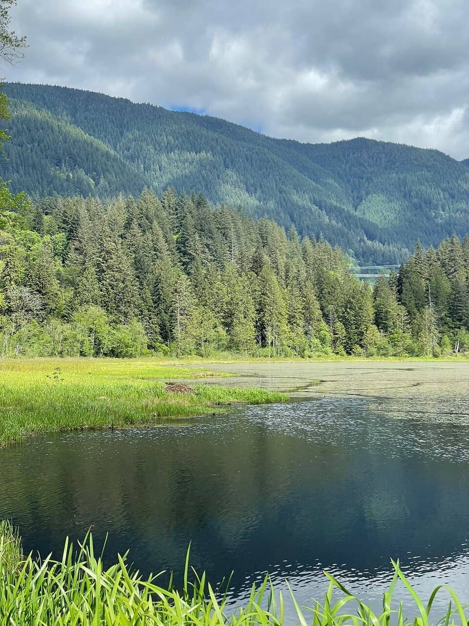 Pitt-Addington Marsh