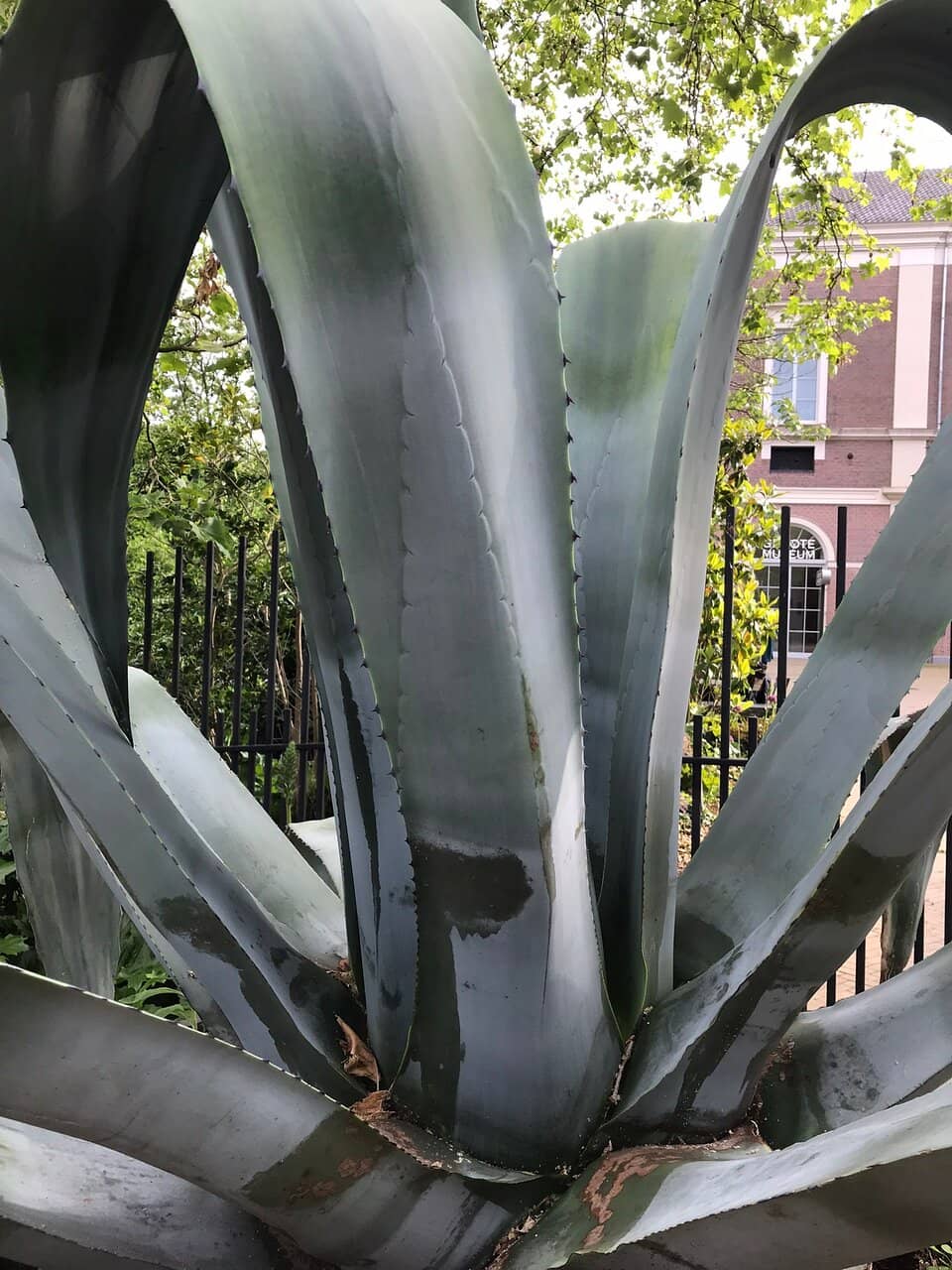 Romantic Evening Spot