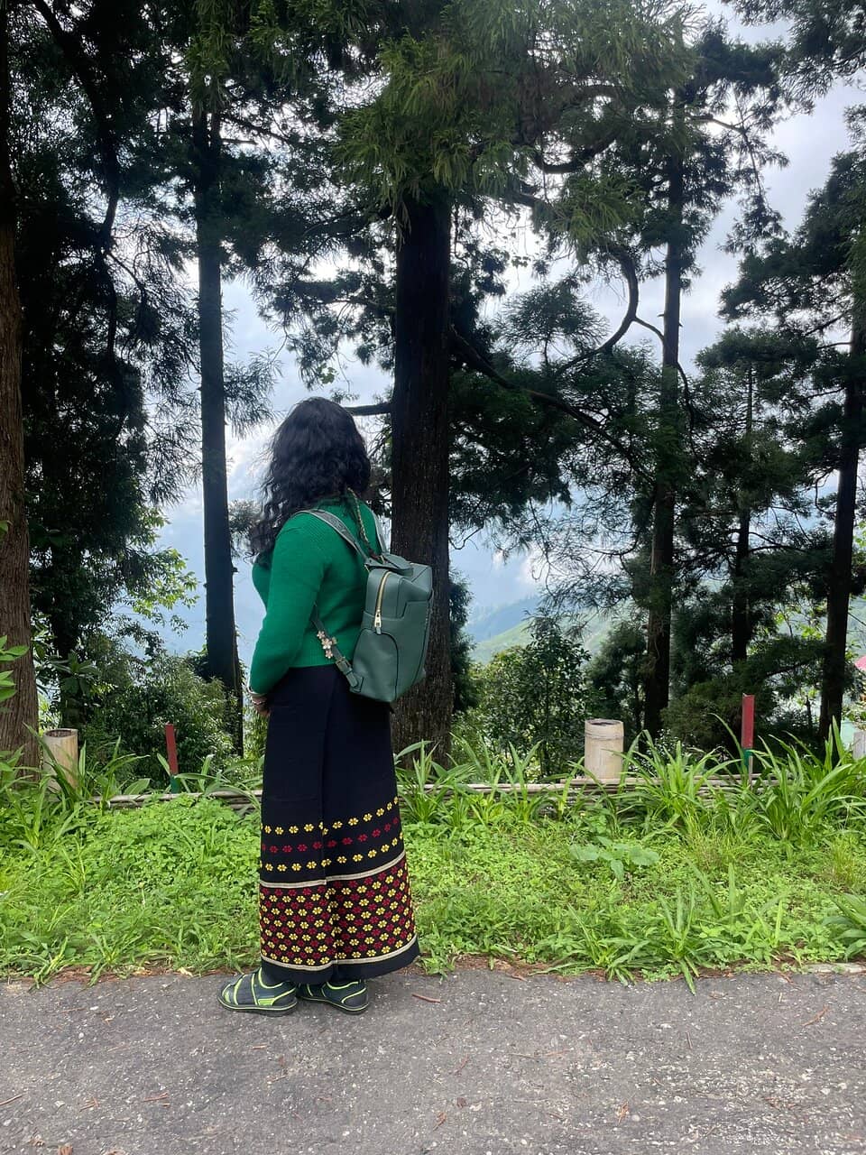 Succulent Collection