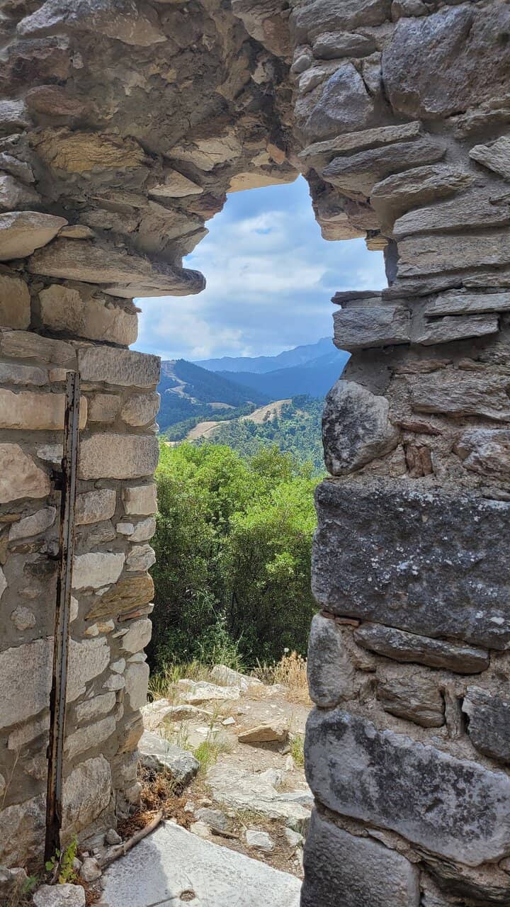 Vertical photo