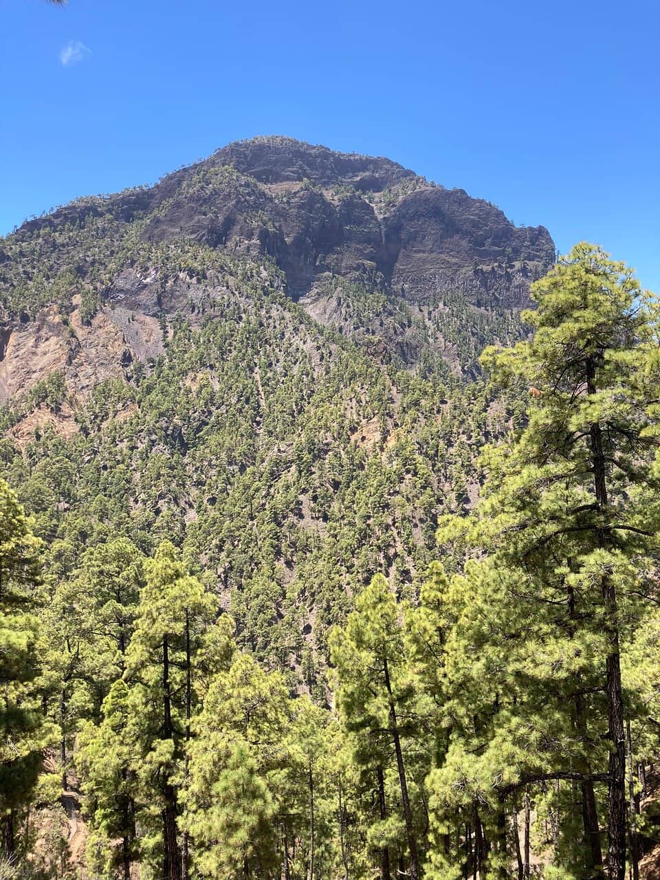 Scenic Walking Routes