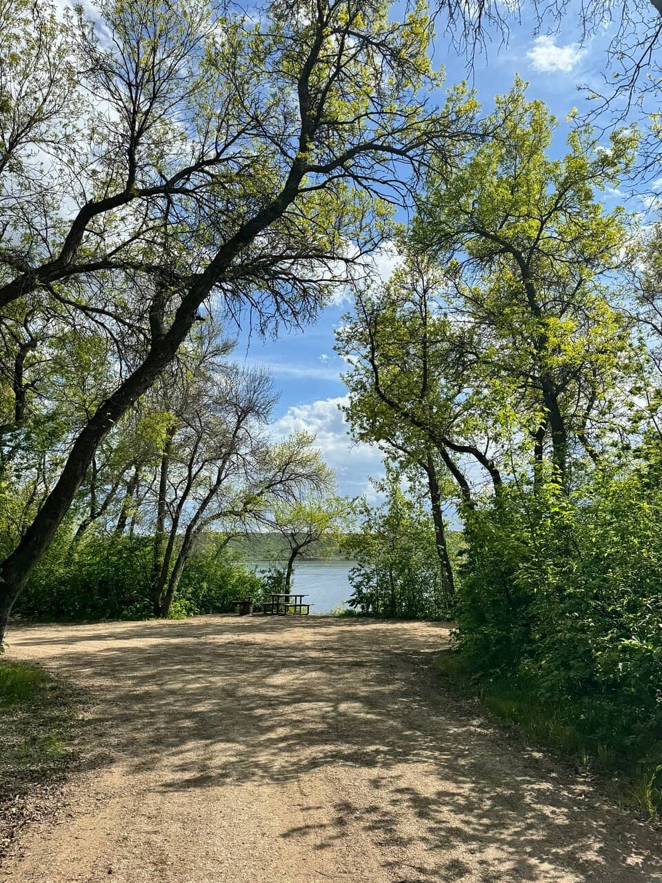 Shady Picnic Spots