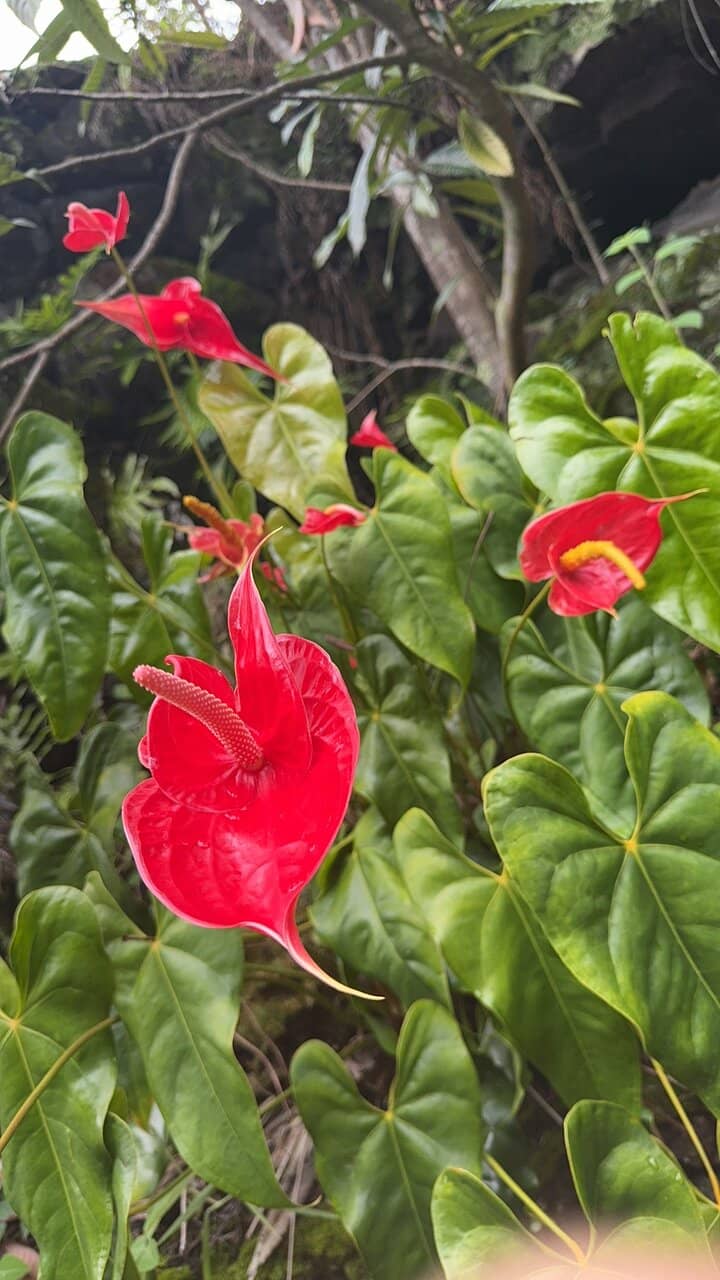 Gift Shop & Local Merchandise