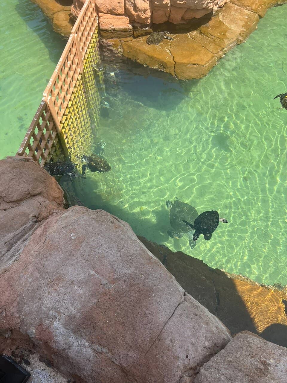 Rehabilitation Lagoon