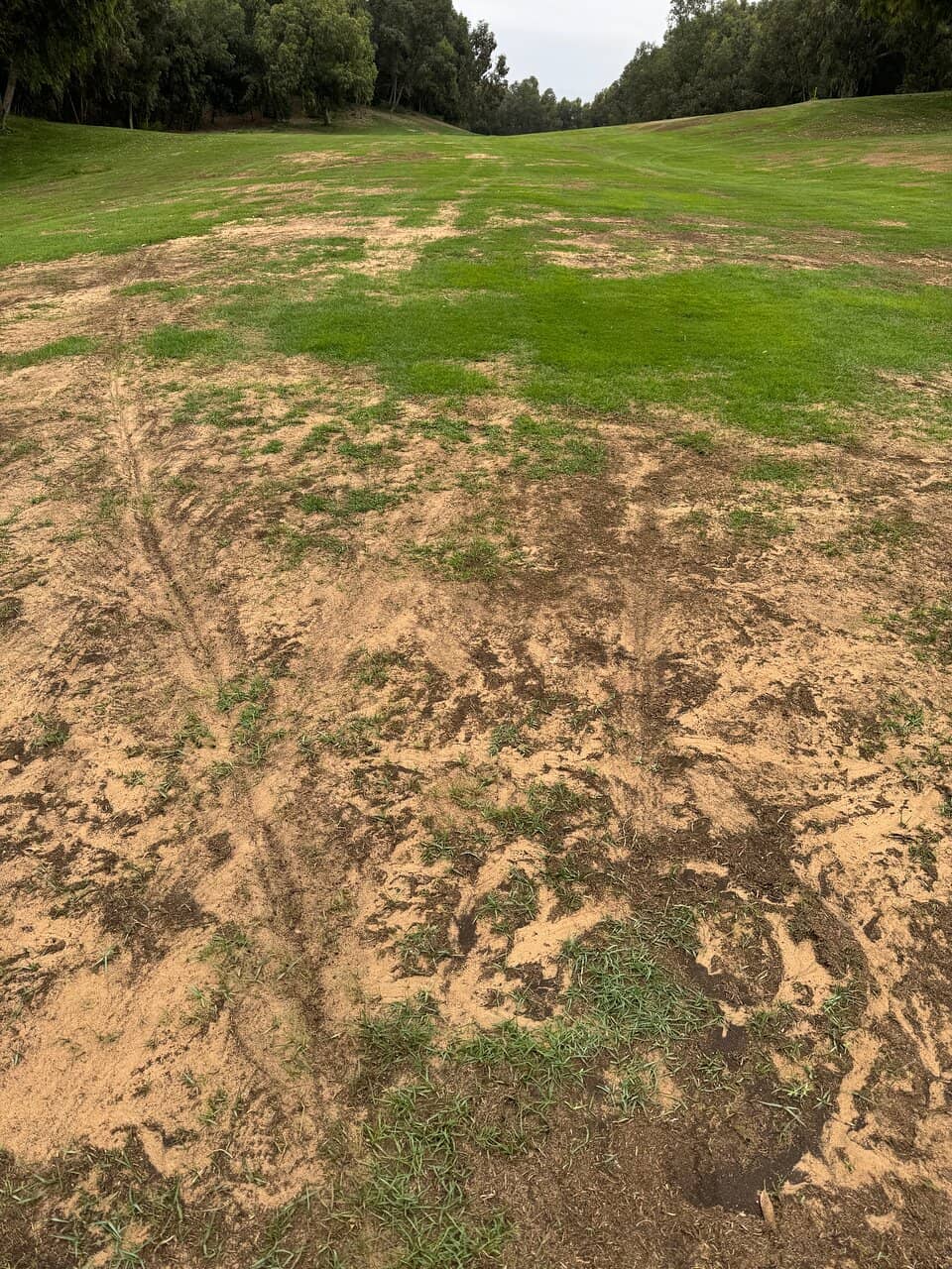 Michielsen Golf Academy