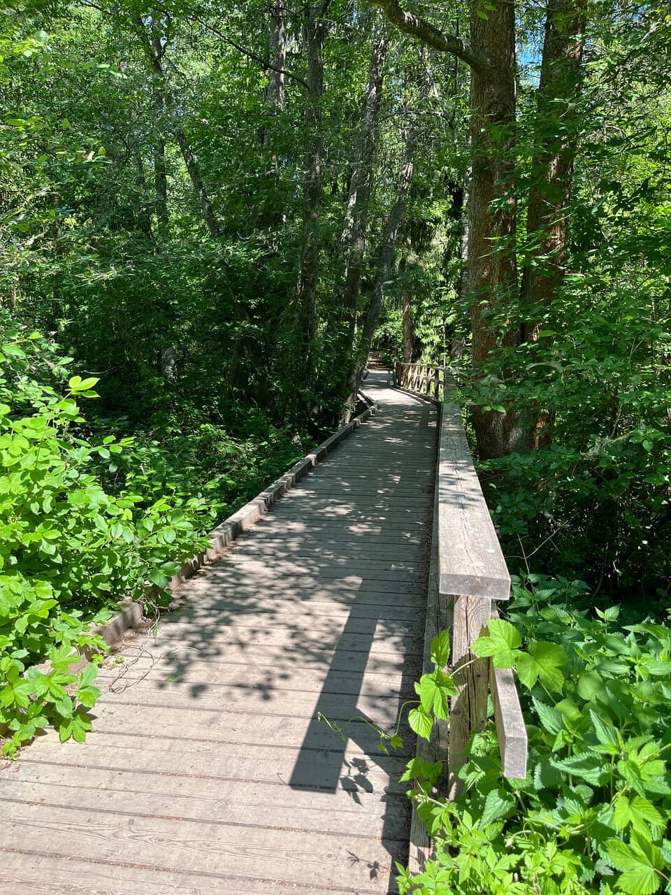 Vertical photo