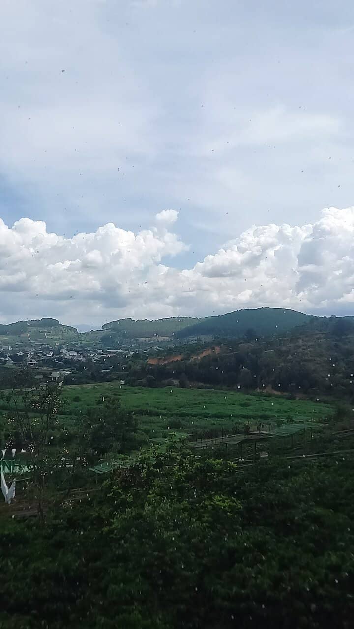 Instagrammable Spots