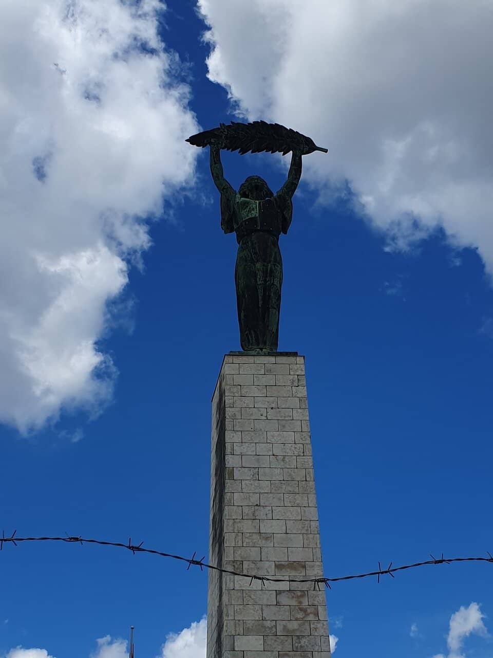Blooming Almond Trees