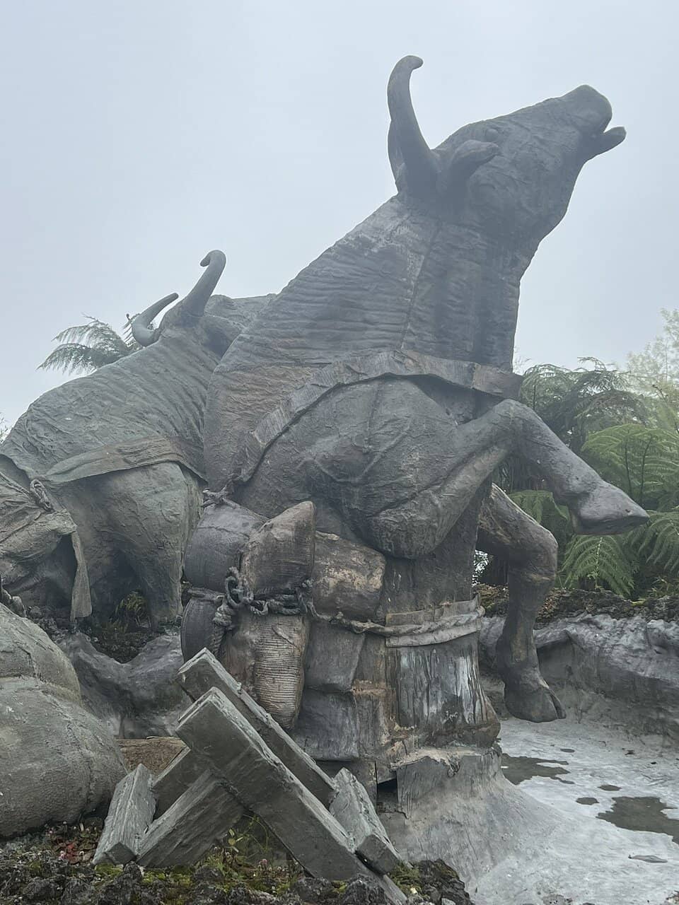 Panoramic City Views