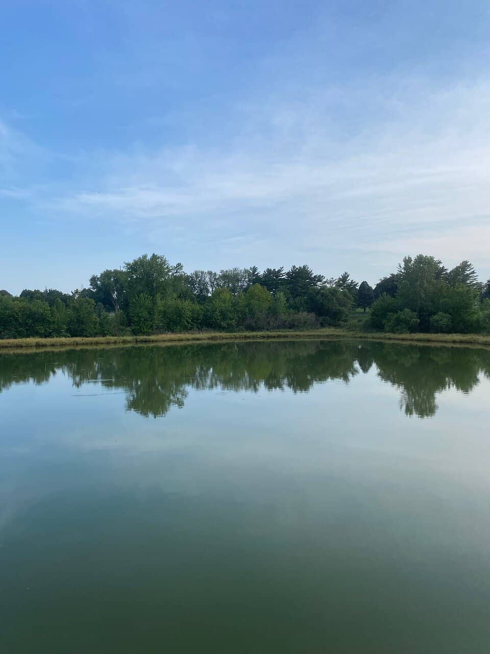 Observatory Stargazing