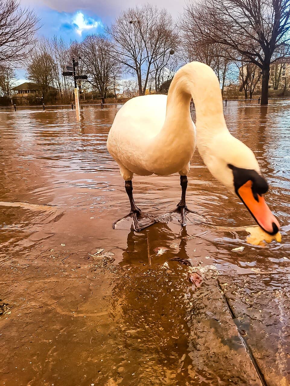 Riverside & Canal Towpath Walks