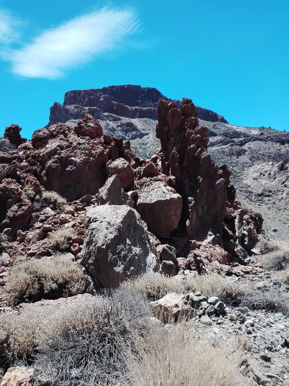 Vertical photo