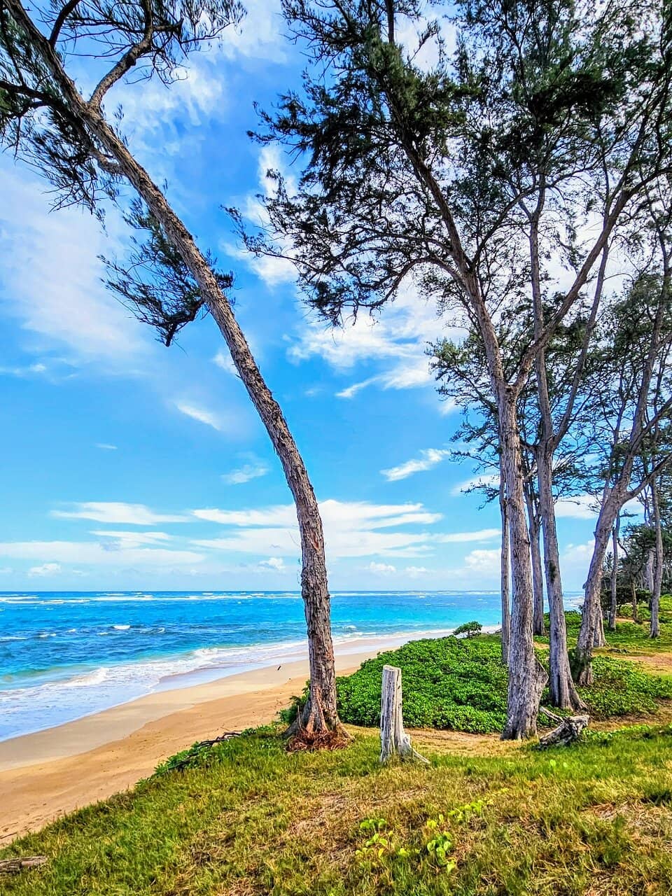 Pali Kiloi'a Limestone Cliff