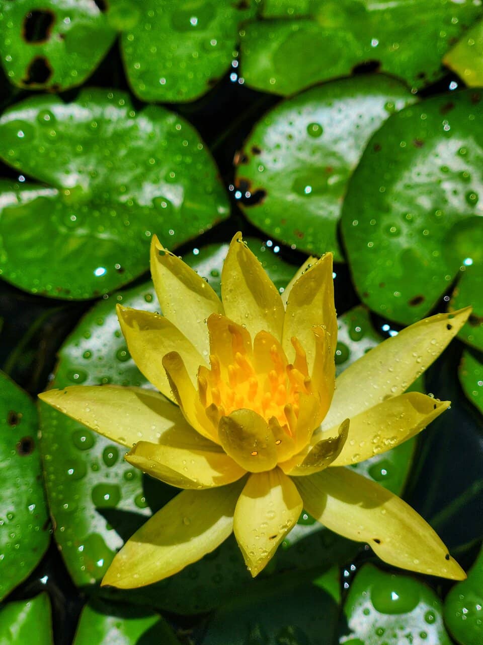 Historical Significance