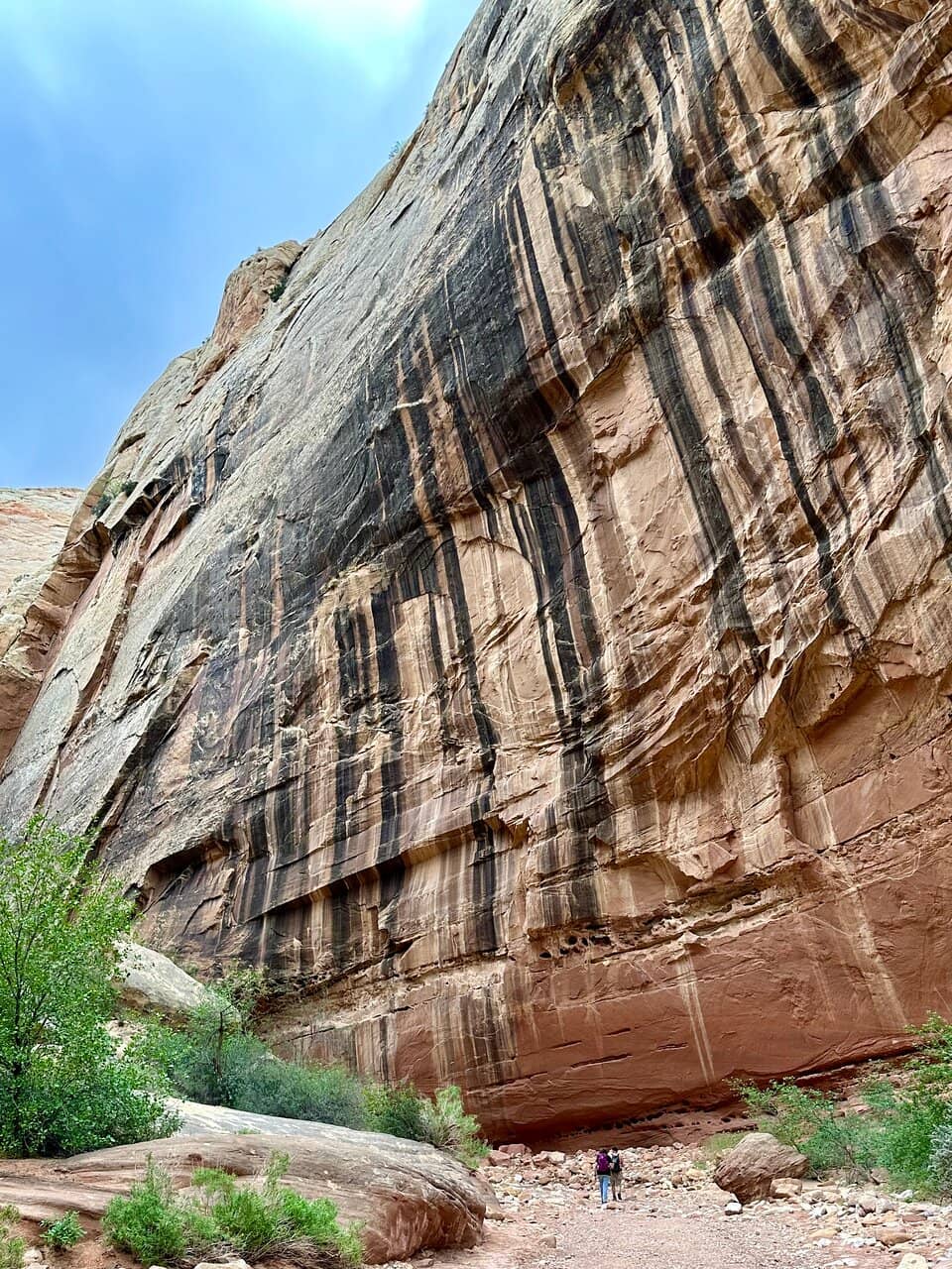 Cassidy Arch Trail Junction