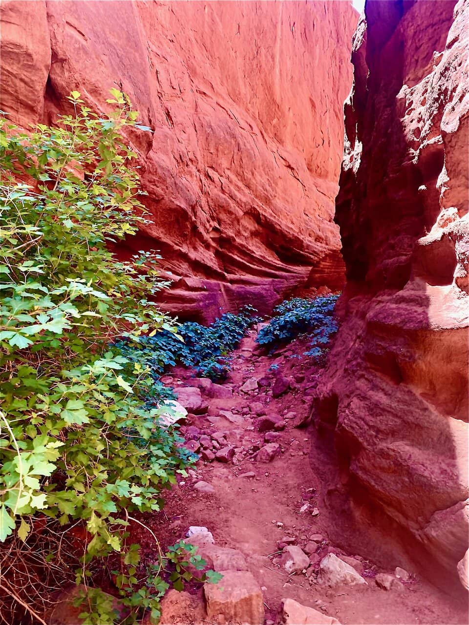 Walatowa Visitor Center Museum