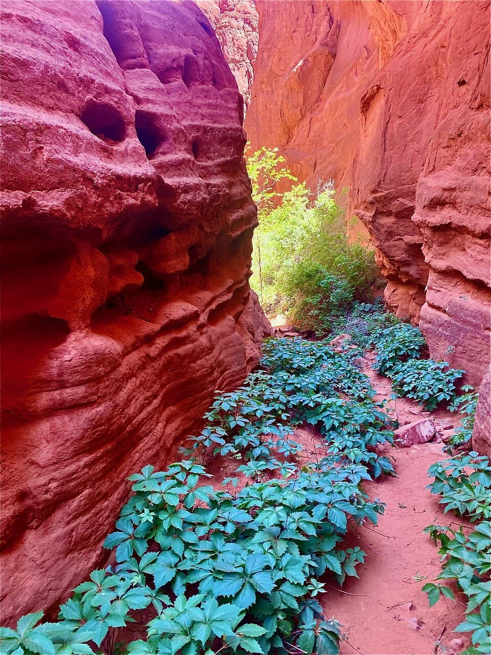 Red Rock Trail & Slot Canyon