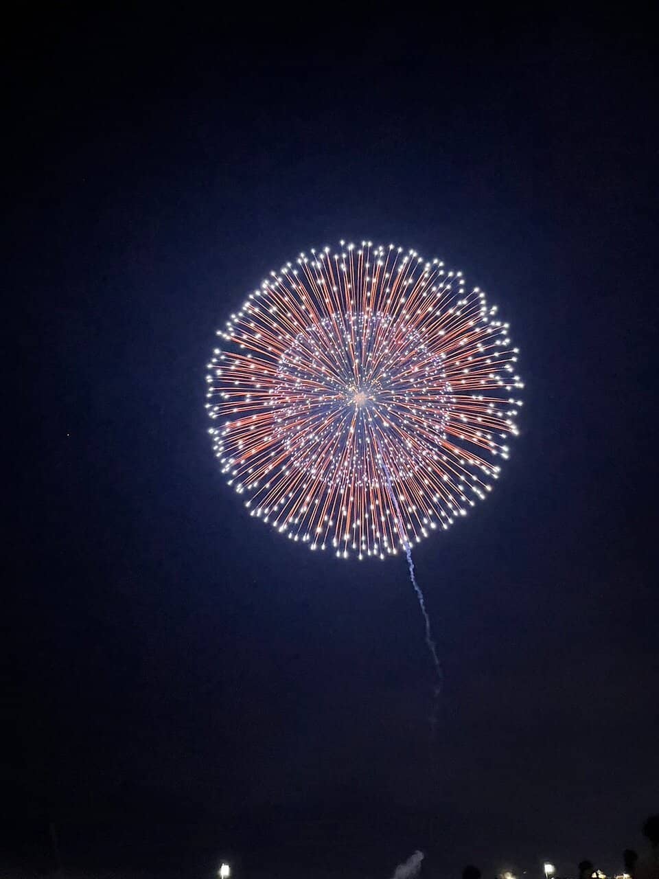 Artistic Firework Designs