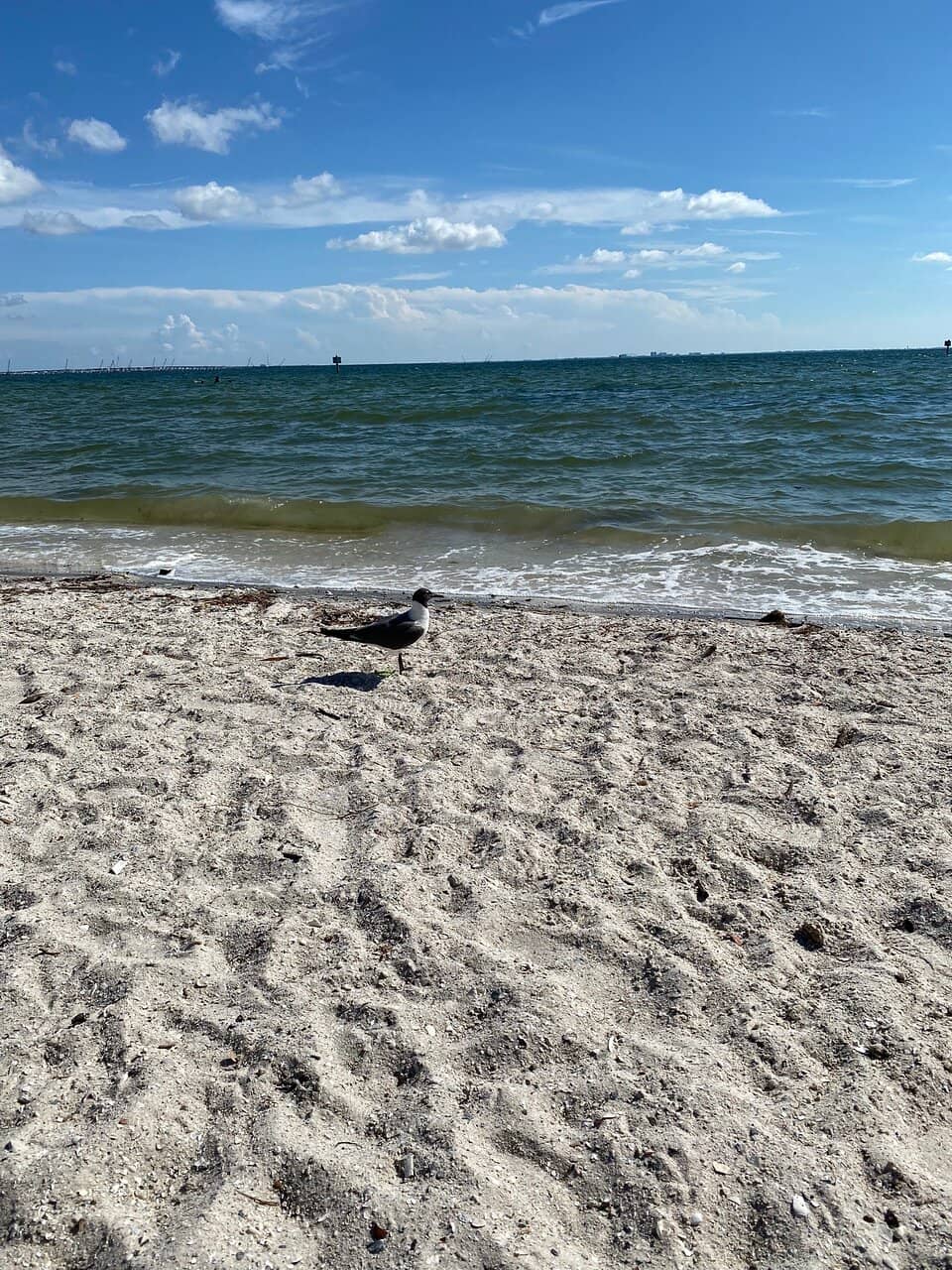 Rocky Shoreline Exploration