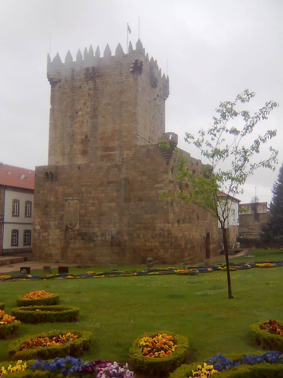 Vertical photo