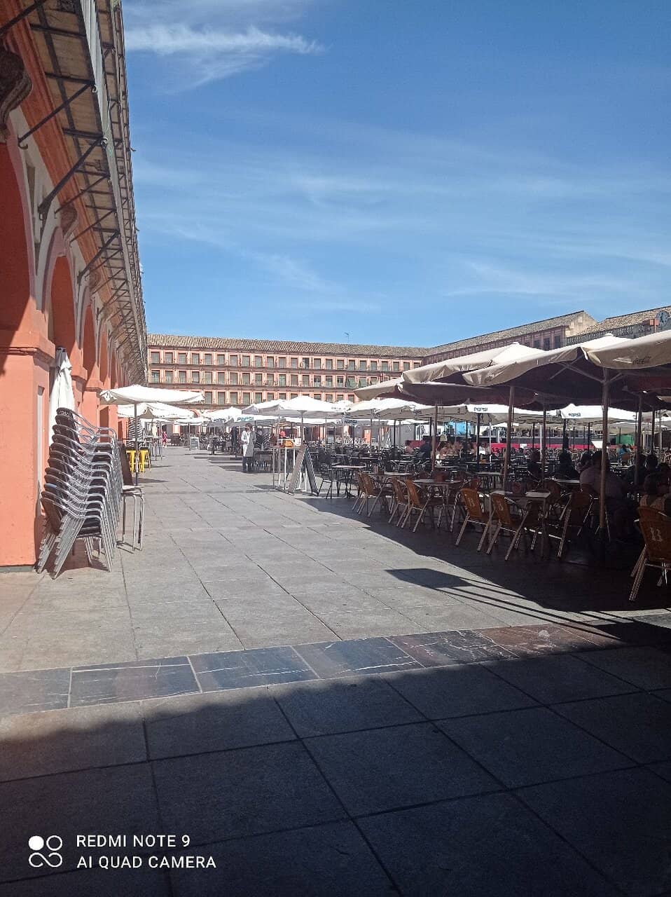 Local Market Buzz