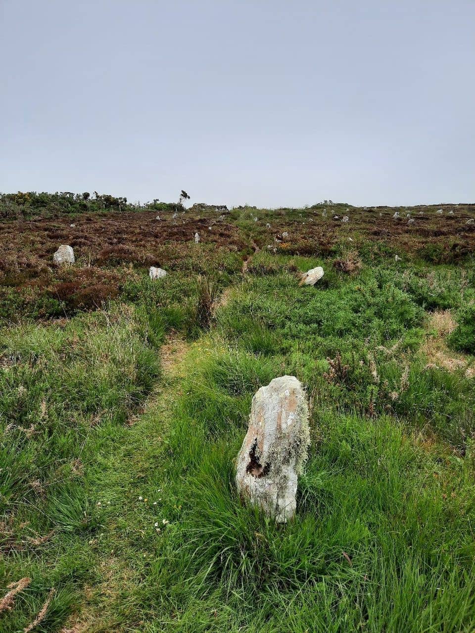 Vertical photo