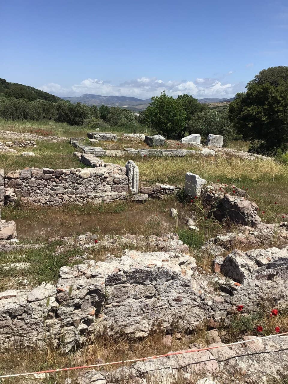 The 'Lord of Mice' Sanctuary