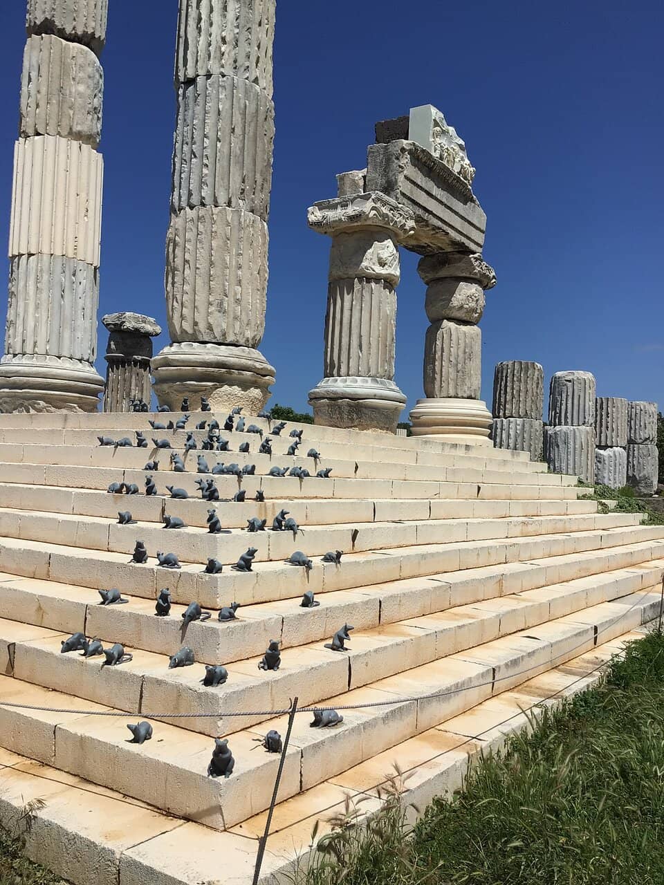 Vertical photo