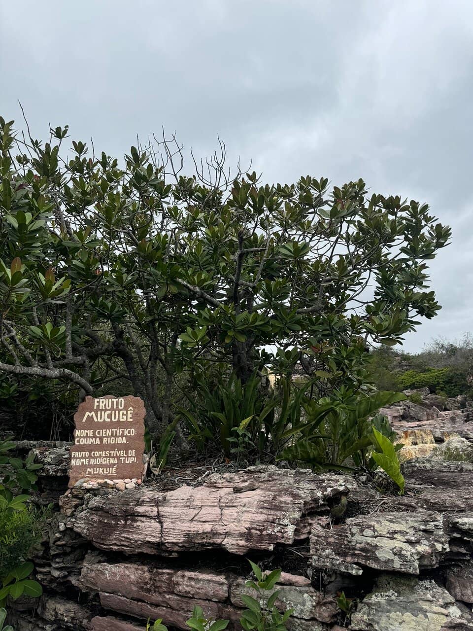 Rocky Waterfall Surroundings