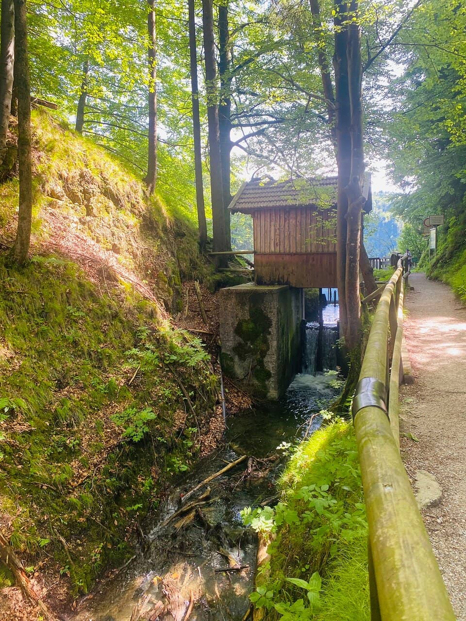 Nature Trails